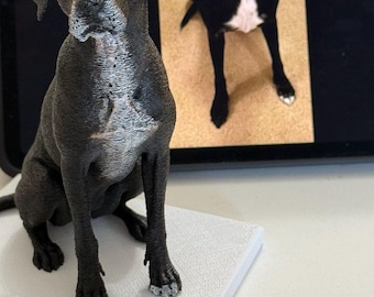 Custom 3D Dog Figurine from Photo | Personalized Pet Memorial Gift | Vancouver Canada