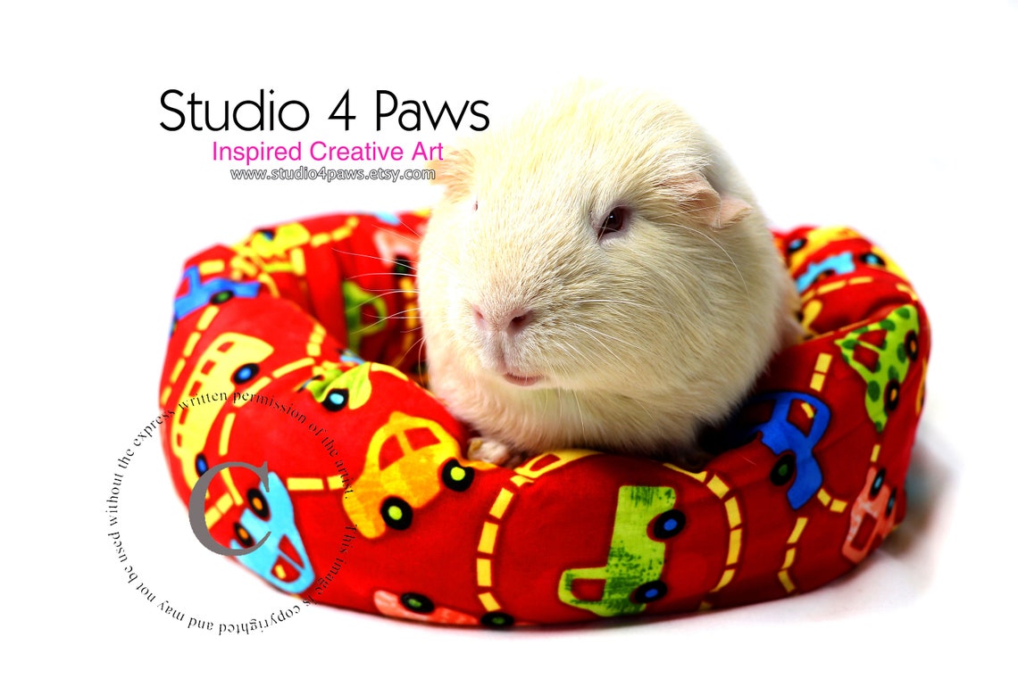 Guinea Pig Cotton and Fleece Cuddle Cup Bed Set for Small Pets Etsy