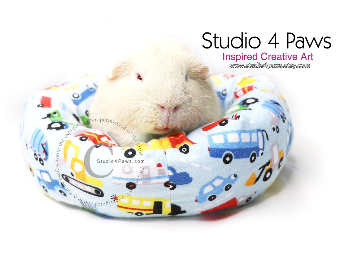 Guinea Pig Cotton and Fleece Cuddle Cup Bed Set for Small Pets Etsy