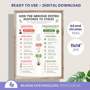 May include: A digital educational poster titled How the Nervous System Responds to Stress, featuring a comparison between the sympathetic and parasympathetic systems with icons, text descriptions of physical and emotional changes, and file format details.