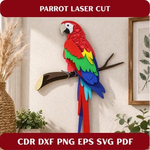 Puede incluir: Un colorido arte mural de loro cortado con láser. El loro está posado en una rama marrón y presenta plumas rojas, verdes, amarillas y azules. El texto "PARROT LASER CUT" está en la parte superior y "CDR DXF PNG EPS SVG PDF" en la inferior.