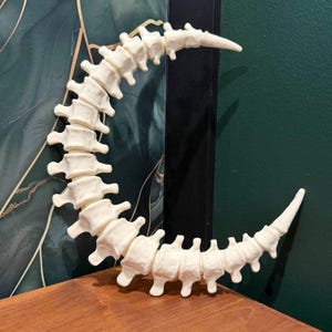 Spinal Moon Wall Art | 3D Printed Gothic Crescent Spine Sculpture