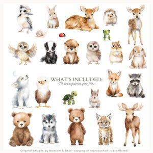 May include: Watercolor illustrations of various woodland animals, including a deer, fox, owl, and bear. The image includes the text "WHAT'S INCLUDED: 70 transparent png files."