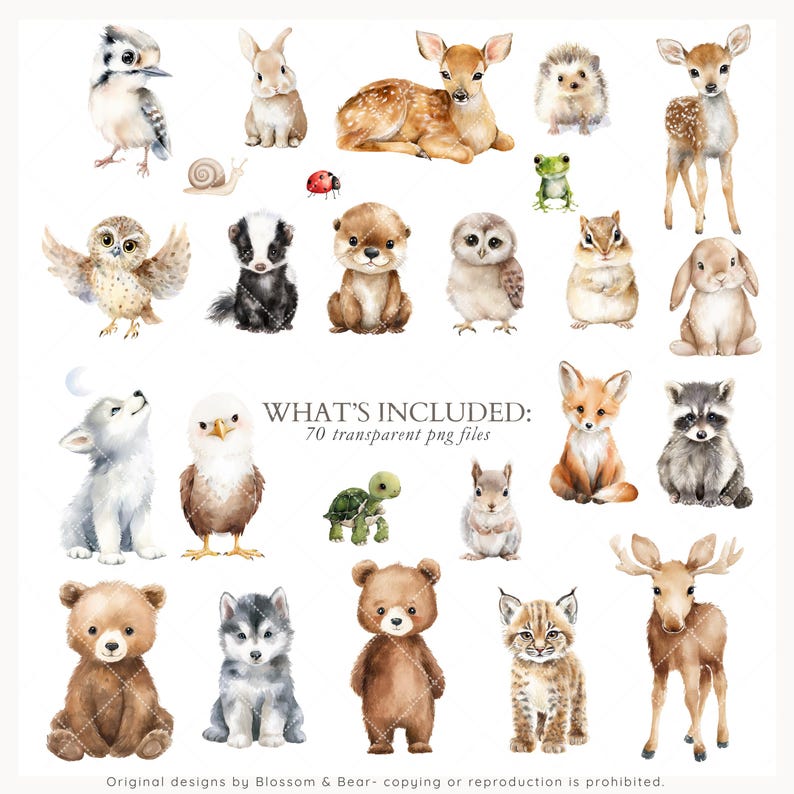 May include: Watercolor illustrations of various woodland animals, including a deer, fox, owl, and bear. The image includes the text "WHAT'S INCLUDED: 70 transparent png files."