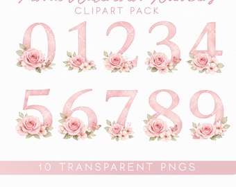 Pink Floral Watercolor Numbers 0-9, Nursery PNG (Digital Download)