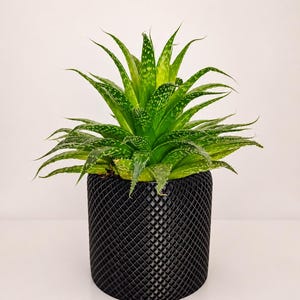 Modern Geometric Planter Pot, 3D Printed Indoor Flower Pot, Succulent Planter, Minimalist Home Decor