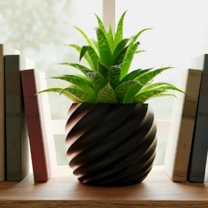 May include: A green aloe vera plant in a black, spiral-patterned pot. The plant is placed on a wooden shelf, flanked by several books. The pot's design adds a modern touch to the natural greenery.