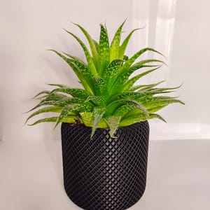 Indoor Flower Pot