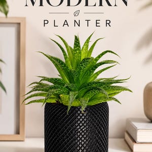 May include: A black cylindrical planter with a textured diamond-patterned surface containing a vibrant green aloe plant with white speckled leaves. The text MODERN PLANTER is displayed in black lettering above the plant on a light background.