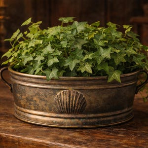 Puede incluir: Una jardinera de metal de estilo vintage llena de hiedra verde exuberante. La jardinera ovalada tiene un acabado envejecido, un diseño de concha y pequeñas asas. Descansa sobre una superficie de madera oscura. Mide unos 30 cm de largo.