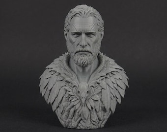 Busto de druida de 110 mm / Miniatura de fantasía impresa en 3D sin pintar / Pieza de exhibición para aficionados a la pintura / Pedestal estándar o temático