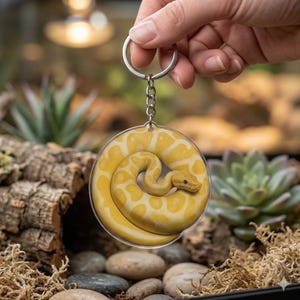May include: A circular acrylic keychain featuring a high-resolution print of a coiled yellow and white albino ball python. The snake is depicted in a spiral position with its head resting on its body. It is attached to a silver metal split ring.