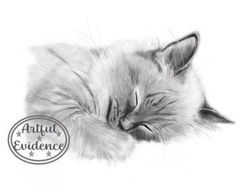 Fine Art Print - Luna Sleeping