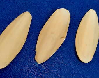 Olokun Sea Tongue Fofo, Efun Cascarilla Olookun Yemaya Otin