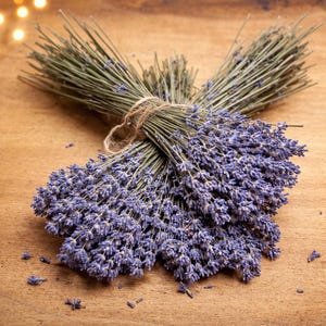 May include: A bundle of dried lavender, tied with twine, rests on a wooden surface. The lavender has vibrant purple flower heads and green stems. The background is a warm, light brown, with soft, blurred lights in the distance.