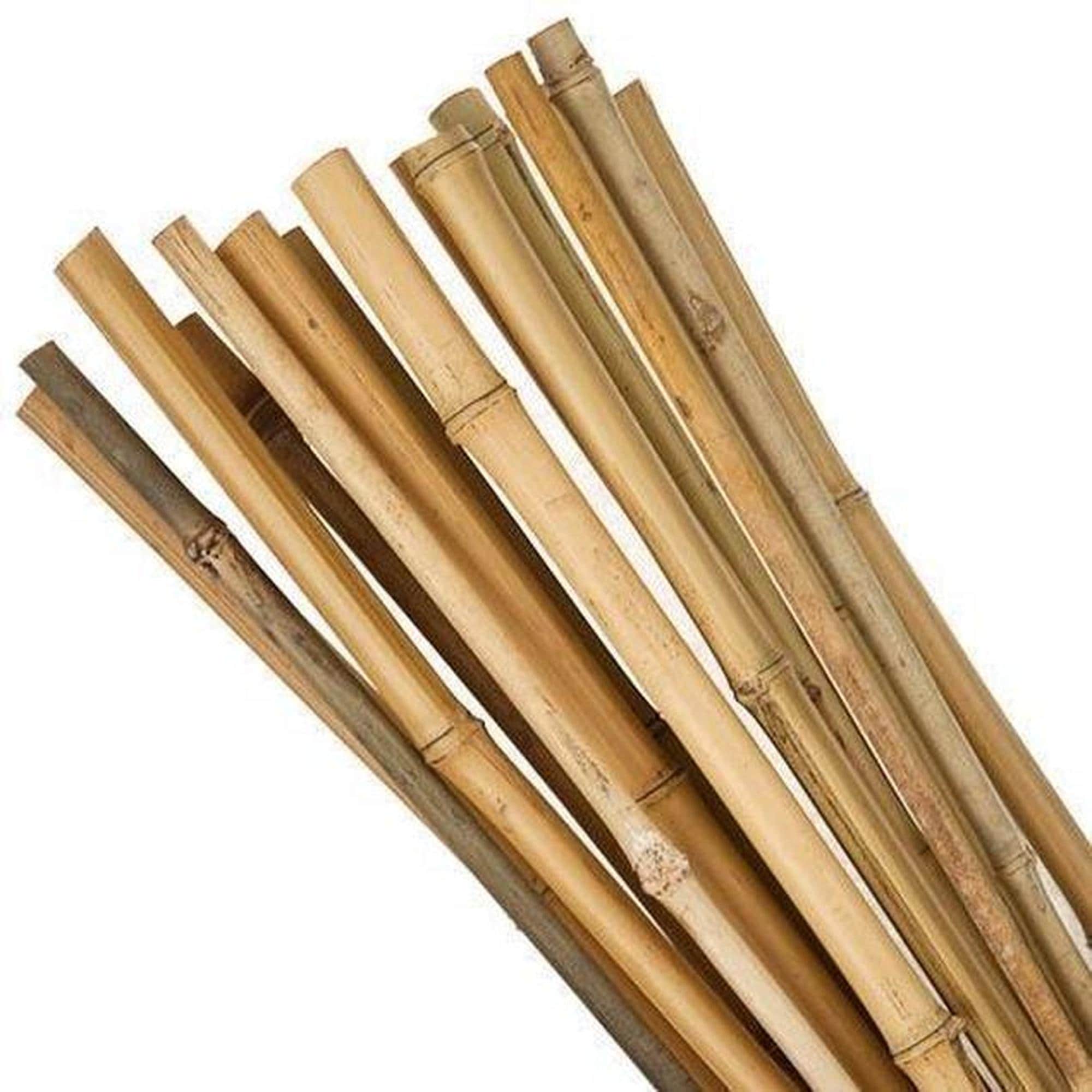 Bamboo Stick - Etsy