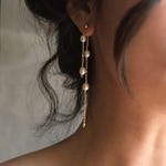Silver Dangle Earrings
