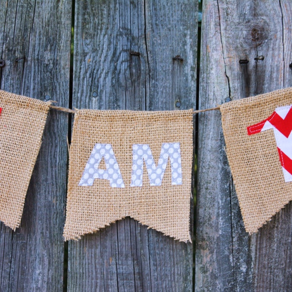 Burlap Banner for High Chair, First Birthday Banner 'I AM 1', custom high chair bunting, you pick colors/theme