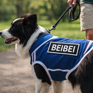 Custom Embroidered Dog Harness Patch, Personalized Velcro Badge, Working K9 Label