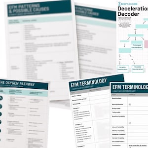 May include: A collection of educational reference guides and flowcharts titled EFM Terminology, The Oxygen Pathway, and Deceleration Decoder. These documents feature teal and white headers, structured tables, and diagrams with light blue and pink boxes.