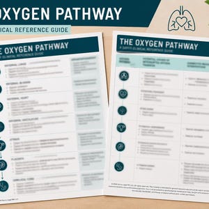 May include: Two white clinical reference guide sheets titled The Oxygen Pathway with dark blue headers. The pages feature medical icons, text, and flowcharts detailing oxygen transfer. A black stethoscope and a black pen are placed nearby.