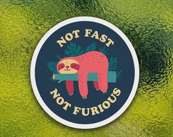 Not Fast Not Furious Funny Sarcastic Sticker, Slow Moving Sloth Aesthetic Patch for Laptops, Relaxed Low Speed Iron On Graphic Decal