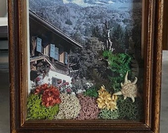 Tourist Souvenier 3-d Diorama with photo background real edelweiss