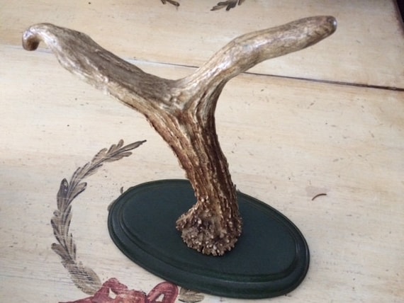 Antique Antler Wall Hook - image 1