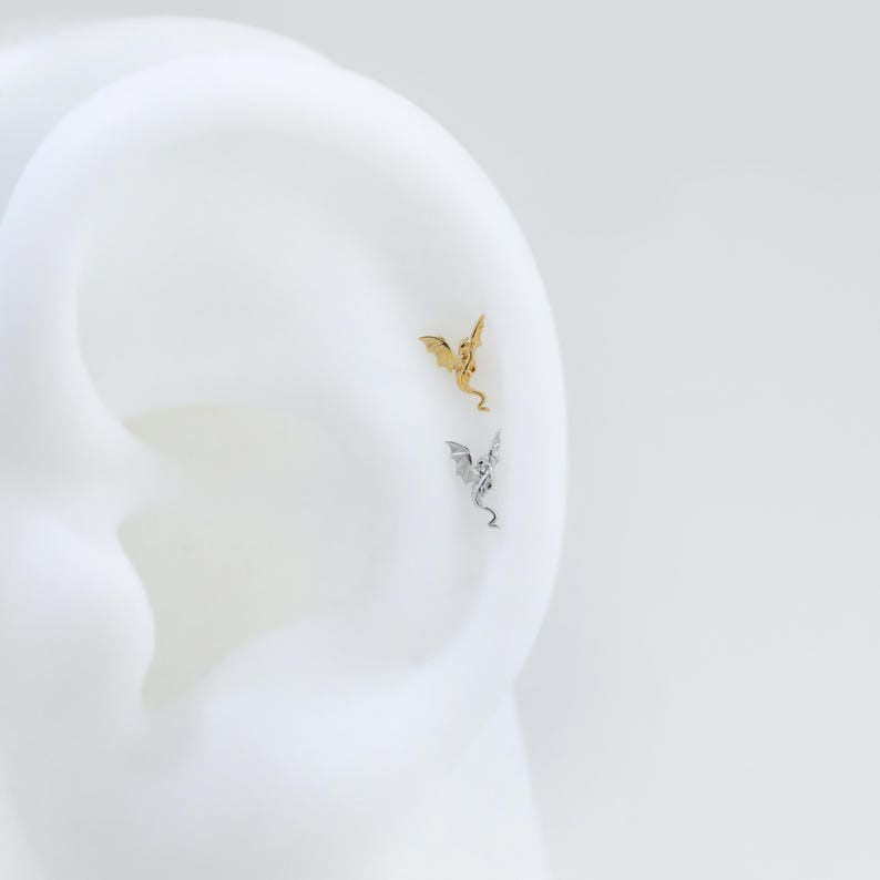 Niet-overeenkomend Flying Dragon-helix-kraakbeen, teruggeduwd, intern geschroefde piercing in sterlingzilver afbeelding 6