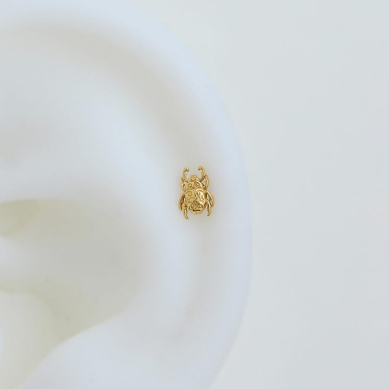 May include: A small gold stud earring shaped like a beetle. The insect design features intricate, embossed swirling patterns on its back, a rounded head, and six distinct legs extending from the sides, all rendered in a polished gold finish.