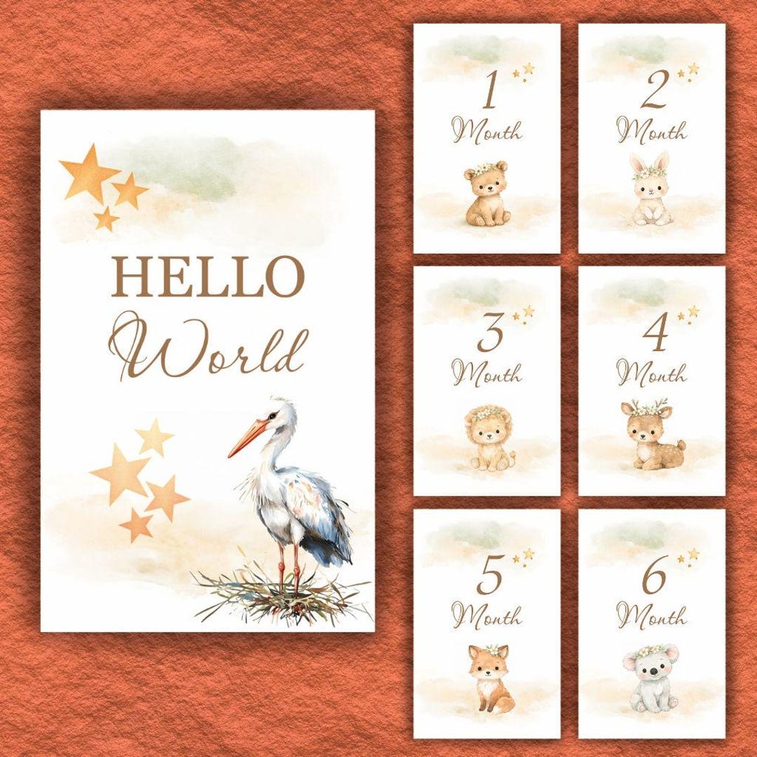 Baby Milestone Card Set | Monthly Newborn Development Tracking Cards ...