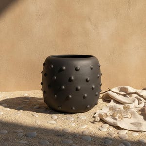 Può includere: Un vaso in ceramica nero opaco, arrotondato, caratterizzato da una superficie testurizzata con protuberanze circolari in rilievo distribuite uniformemente. Il contenitore presenta un'ampia apertura superiore e una silhouette curva e liscia.