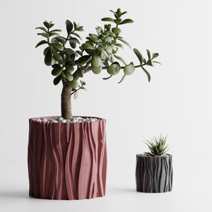 Peut inclure: Deux pots de fleurs décoratifs avec un motif texturé en forme d'écorce. Le plus grand pot est brun rougeâtre et contient une plante de jade. Le plus petit pot est gris foncé et contient une petite plante succulente.