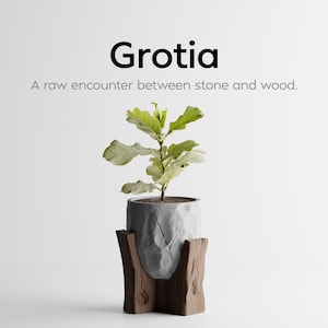 Puede incluir: Una planta en maceta con hojas verdes grandes en una maceta gris texturizada. La maceta está en un soporte de madera. La palabra "Grotia" está encima de la planta, con el texto "A raw encounter between stone and wood."