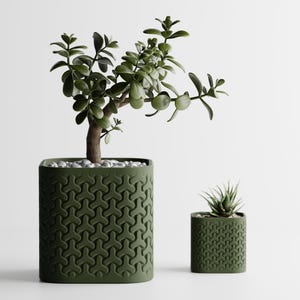 May include: Two olive green square planters with a repeating geometric pattern on the exterior. The larger planter holds a jade plant with rounded green leaves, while the smaller planter contains a small spiky succulent plant.