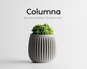 May include: A light gray cylindrical planter with vertical ribbed detailing containing a small green succulent plant. The text Columna and Structured lines. Organic soul. is printed in black above the planter on a plain white background.