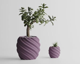 May include: Two purple planters with a textured, spiraling ribbed pattern. The larger planter holds a green jade plant with thick, rounded leaves, while the smaller planter contains a tiny, spiky succulent plant with pointed green leaves.