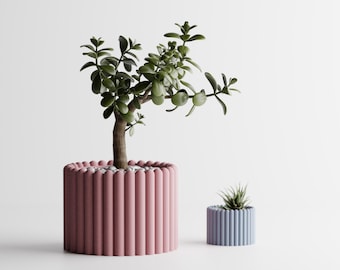 May include: A large cylindrical pink planter with a vertical ribbed texture containing a green jade plant, accompanied by a smaller cylindrical light blue planter with a matching ribbed texture containing a small spiky succulent plant.