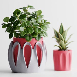 May include: A large, vibrant green leafy plant sits in a red pot encased by a light gray, petal-shaped decorative outer shell. Beside it stands a smaller, slender green and cream-colored succulent plant in a matching solid red cylindrical pot.