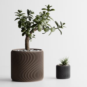 May include: Two decorative plant pots with a wavy, textured design. The larger pot is brown and contains a jade plant with green leaves. The smaller pot is black and holds a small succulent. The pots are of different sizes.