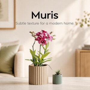 Puede incluir: Escena interior moderna con una orquídea rosa en una maceta beige con ranuras verticales. Hay una maceta verde más pequeña con una suculenta al lado. Se ve el texto "Muris" y "Subtle texture for a modern home".