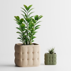 Könnte beinhalten: Ein großer beigefarbener quadratischer Übertopf mit gestepptem Knopfdesign und einer grünen Zamioculcas-Pflanze, daneben ein kleinerer olivgrüner quadratischer Übertopf mit passendem Knopfdesign und einer kleinen stacheligen Sukkulente.