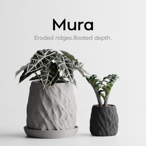 May include: Two textured planters with plants. The larger light grey planter sits on a matching saucer, holding an Alocasia plant. The smaller dark grey planter holds a Zamioculcas plant. Text reads: Mura. Eroded ridges. Rooted depth.