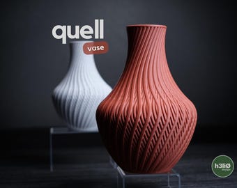 May include: Two decorative vases with textured surfaces. One is white, the other is terracotta. The word "quell" is above the vases, with the word "vase" in a red rectangle. The vases are on clear stands.