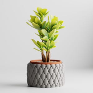 May include: A small potted plant with vibrant light green leaves and brown stems, housed in a cylindrical planter featuring a textured, grey, braided-style exterior pattern and a smooth, terracotta-coloured rim at the top edge.