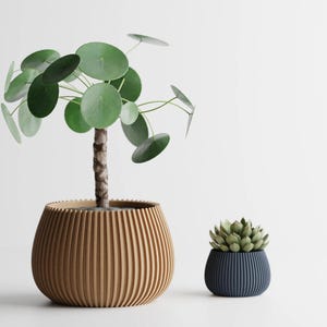 Op de afbeelding: Een Pilea peperomioides plant met ronde groene bladeren in een grote, lichtbruine, verticaal geribbelde plantenbak, naast een kleinere, donkerblauwe, verticaal geribbelde pot met een kleine, groene, rozetvormige vetplant.