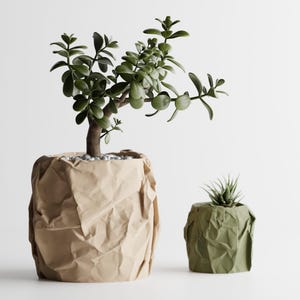 Op de afbeelding: Een grote jadeplant met groene bladeren in een beige plantenpot met een verkreukeld papieruiterlijk en een kleinere, stekelige vetplant in een bijpassende olijfgroene pot met dezelfde gevouwen en verkreukelde textuur.