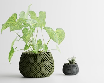 May include: Two decorative planters, one large and one small, sit against a white background. The larger planter is olive green and holds a leafy green plant. The smaller planter is dark gray and contains a small succulent.