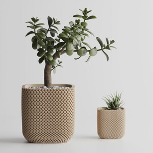 May include: Two beige planters with a textured, diamond-shaped lattice pattern. The larger planter holds a jade plant with thick, green, oval-shaped leaves, while the smaller planter contains a small, spiky, green succulent plant.