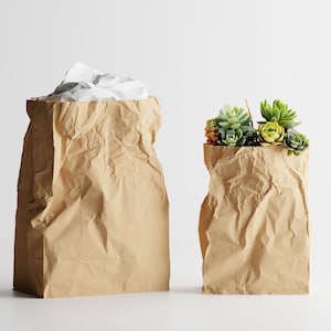 May include: Two brown paper bags, one filled with white tissue paper and the other with a variety of green and orange succulents. The bags have a crumpled texture and are set against a white background.